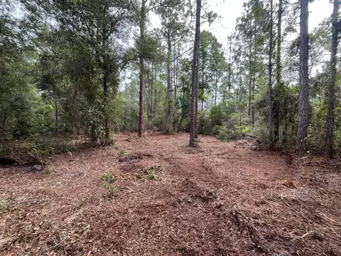 124 Glenside St, Georgetown, FL 32139 photo 6
