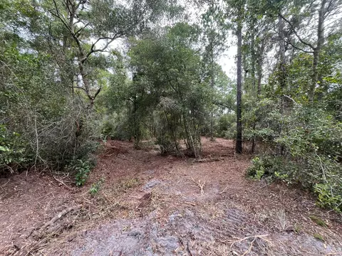 124 Glenside St, Georgetown, FL 32139 photo 5