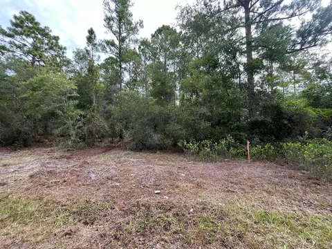 124 Glenside St, Georgetown, FL 32139 photo 8