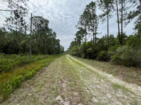 124 Glenside St, Georgetown, FL 32139 photo 9