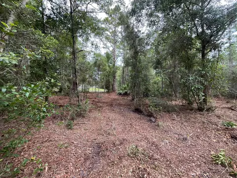 124 Glenside St, Georgetown, FL 32139 photo 7