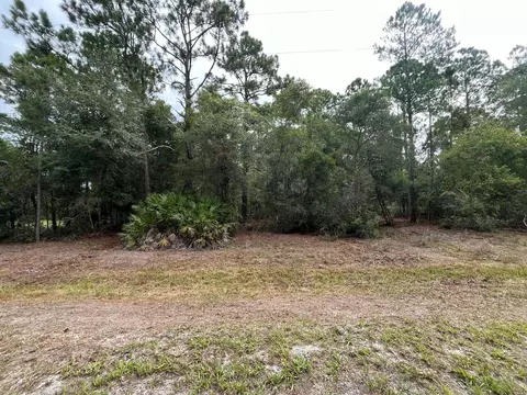 124 Glenside St, Georgetown, FL 32139 photo 4