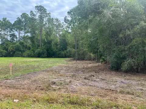 124 Glenside St, Georgetown, FL 32139 photo 2