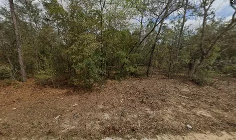 lot28 Janet Ave, Interlachen, FL 32148