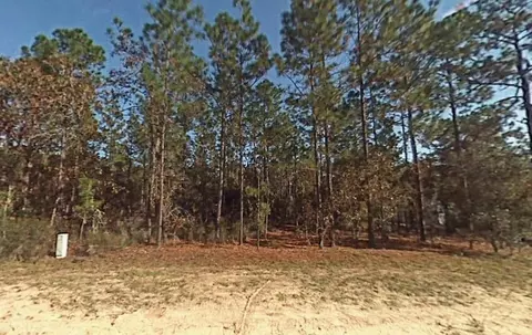tbd SW 166th Court Rd, Ocala, FL 34432