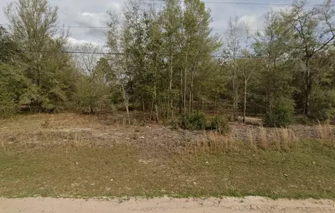 tbd Marion Ave, Interlachen, FL 32148