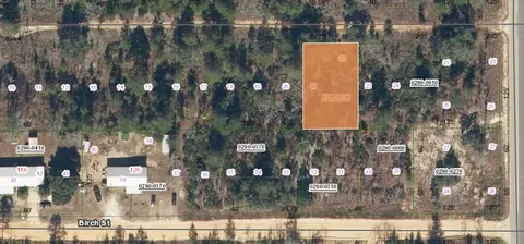 000 Unassigned Location, Interlachen, FL 32148 photo 4
