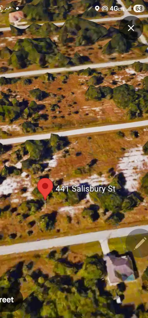 441 Salisbury St, Port Charlotte, FL 33954