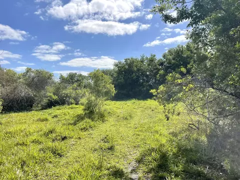 8121 NW 58th Ln, Okeechobee, FL 34972 photo 67
