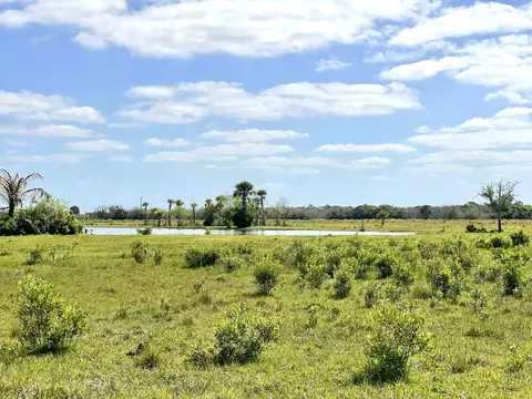 8121 NW 58th Ln, Okeechobee, FL 34972 photo 68