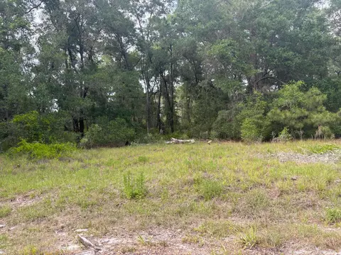 tbd Locust Drive Ct, Ocala, FL
