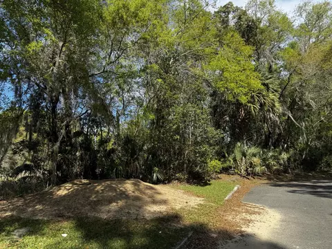 tbd NE 4th Ct, Ocala, FL 34479
