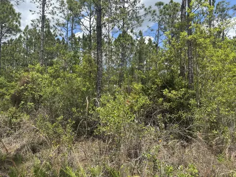 0 Holopaw Groves Rd, Saint Cloud, FL 34772