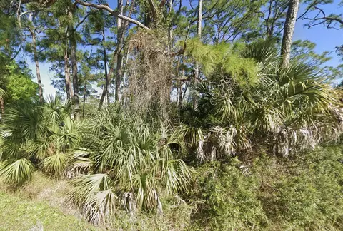 17301 Brynwood Ln, Okeechobee, FL 34974