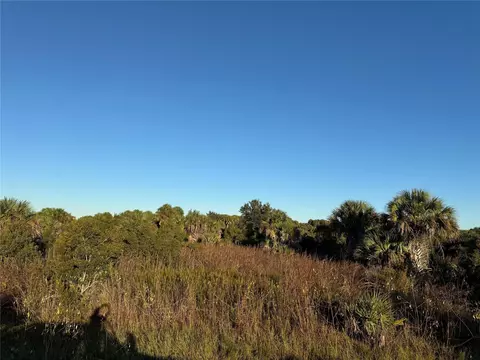 2025 Cabbage Ln, Okeechobee, FL 34974 photo 2