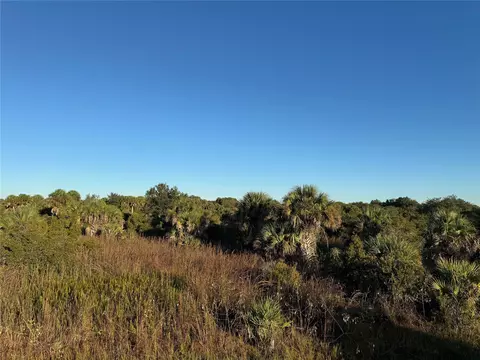 2025 Cabbage Ln, Okeechobee, FL 34974 photo 3