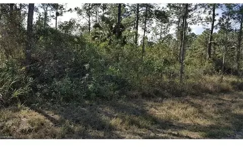 1042 Summa Blvd, Lehigh Acres, FL 33974
