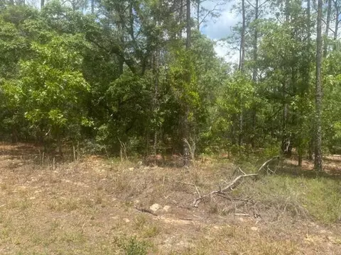 8593 N Bambury Ter, Citrus Springs, FL 34434