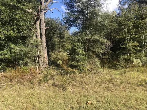 0 Dawn Ave, Interlachen, FL 32148