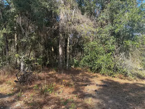 7178 W Wildfire Ln, Homosassa, FL 34448