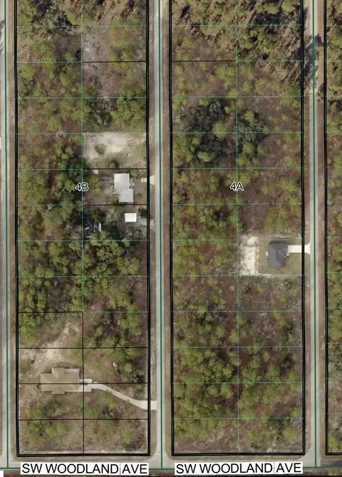 tbd SW Buena Vista Rd, Dunnellon, FL 34431