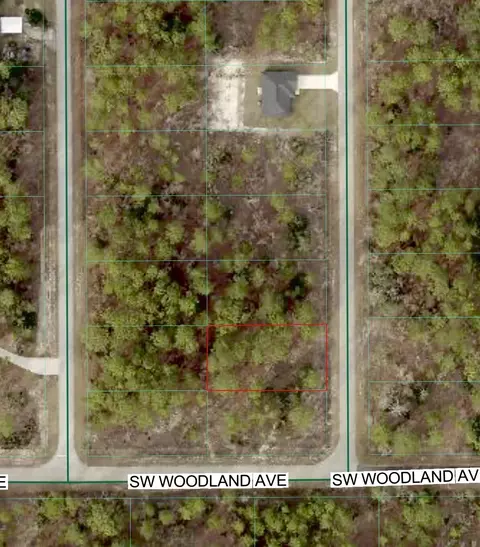 tbd SW Buena Vista Rd, Dunnellon, FL 34431
