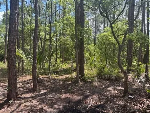 0 Dahlia Rd, Deland, FL 32724