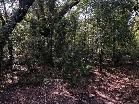 0 Co Rd 54, Kathleen, FL 33849