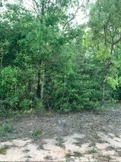 0 Gardenia Dr, Marianna, FL 32448
