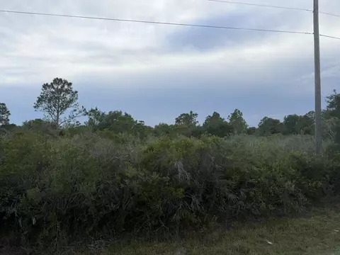 15840 NW 298th St, Okeechobee, FL 34972 photo 2