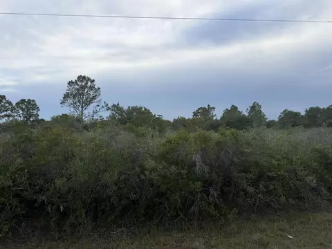15840 NW 298th St, Okeechobee, FL 34972 photo 3