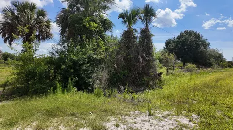 18980 NW 274th St, Okeechobee, FL 34972 photo 5