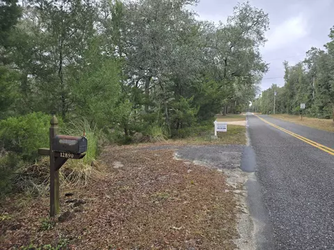 12890 NW 90th Ave, Chiefland, FL 32626