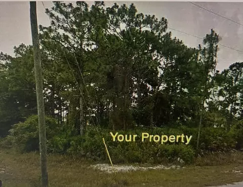 1170 Kingfisher Ave NW, Lake Placid, FL 33852