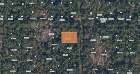 0 Spruce Dr, Georgetown, FL 32139