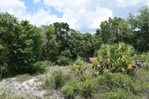17119 NW 276th St, Okeechobee, FL 34972