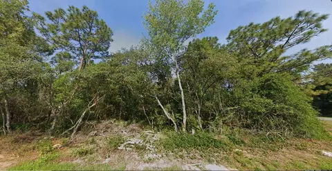00 SW 133 Loop, Ocala, FL 34473 photo 7