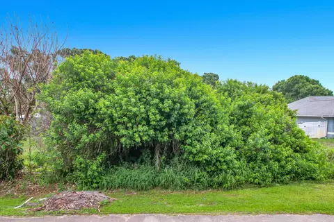 1510 Emerson Ln, Sebastian, FL 32958