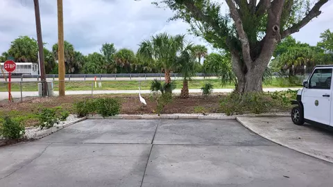1013 9th St, Okeechobee, FL 34974 photo 8