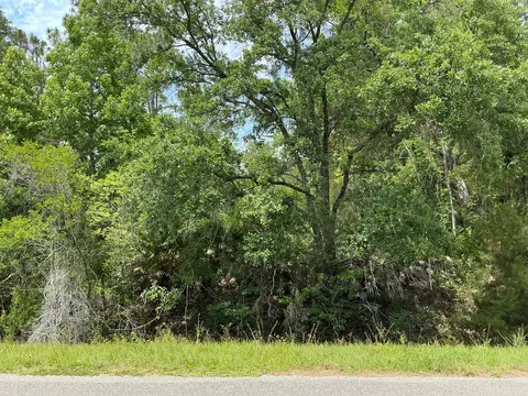 5020 Stephen St, Hastings, FL 32145