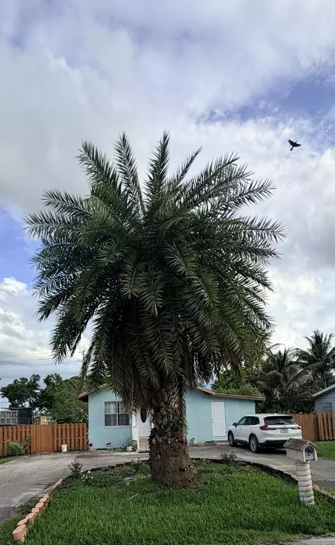 208 NW Avenue H Pl, Belle Glade, FL 33430