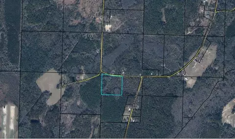 0 Bill Dixon Rd, Graceville, FL 32440