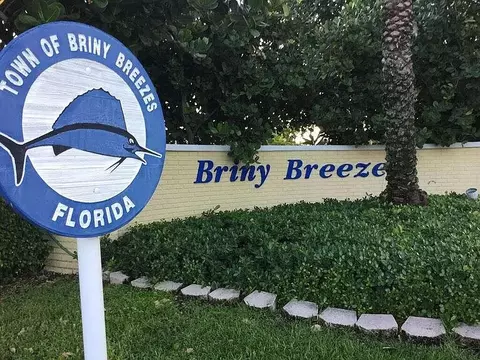 206 Eagle Dr E, Briny Breezes, FL 33435 photo 13