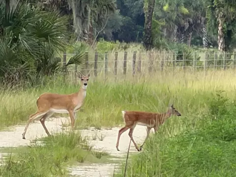 0 Co Rd 832, Clewiston, FL 33440