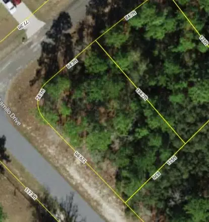 9239 N Marcus Way, Dunnellon, FL 34433