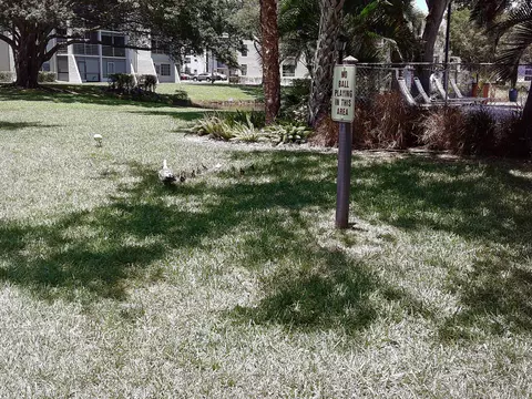 9420 Poinciana Pl #409, Davie, FL 33324