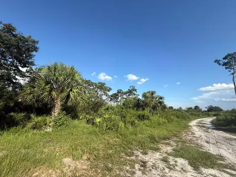 3349 NE 301st Blvd, Okeechobee, FL 34972 photo 6
