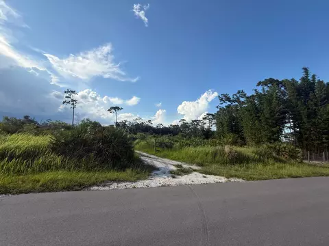 3349 NE 301st Blvd, Okeechobee, FL 34972 photo 11