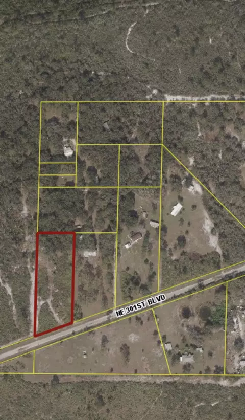 3349 NE 301st Blvd, Okeechobee, FL 34972 photo 15