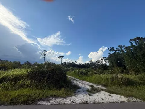 3349 NE 301st Blvd, Okeechobee, FL 34972 photo 12